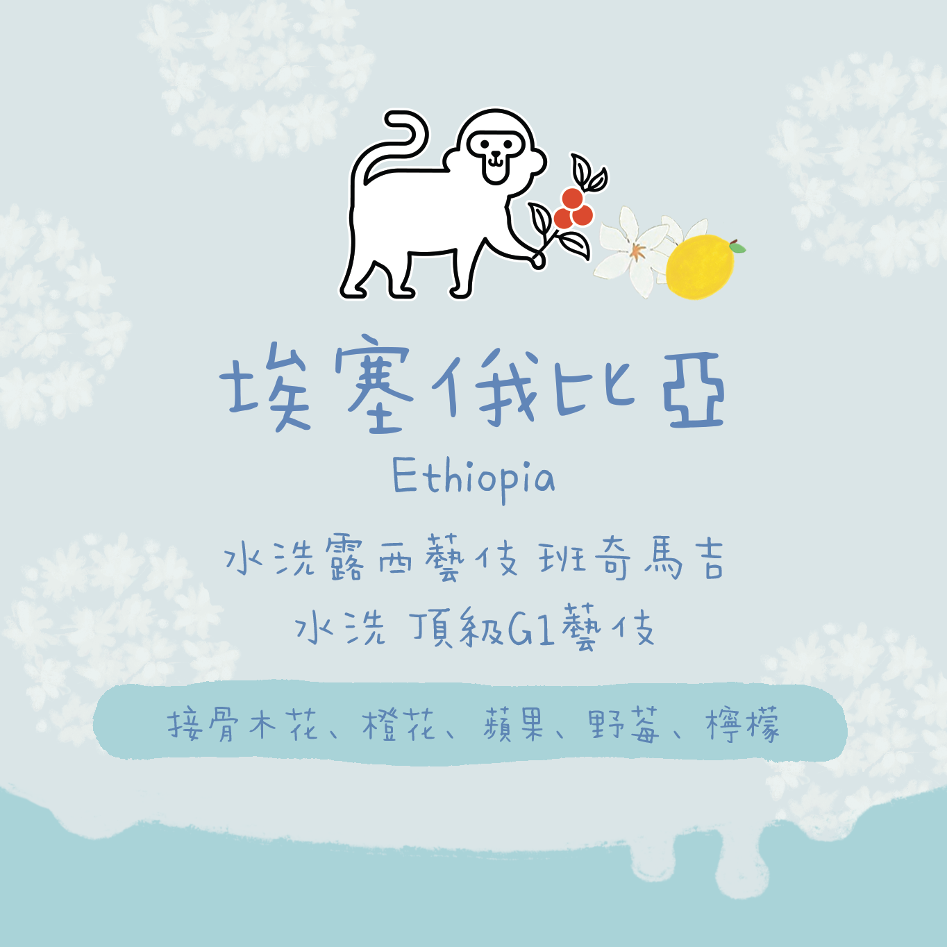 【最新批次✨】埃塞俄比亞|班奇馬吉 露西藝伎 水洗 頂級G1 淺焙|咖啡豆 掛耳包