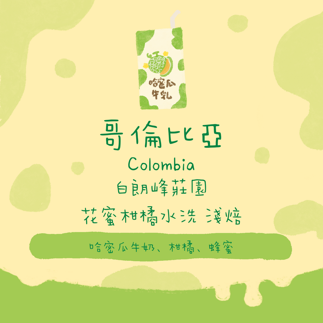 【11月4號晚21:00開售】哥倫比亞|白朗峰莊園 花蜜柑橘水洗 淺焙|咖啡豆 掛耳包