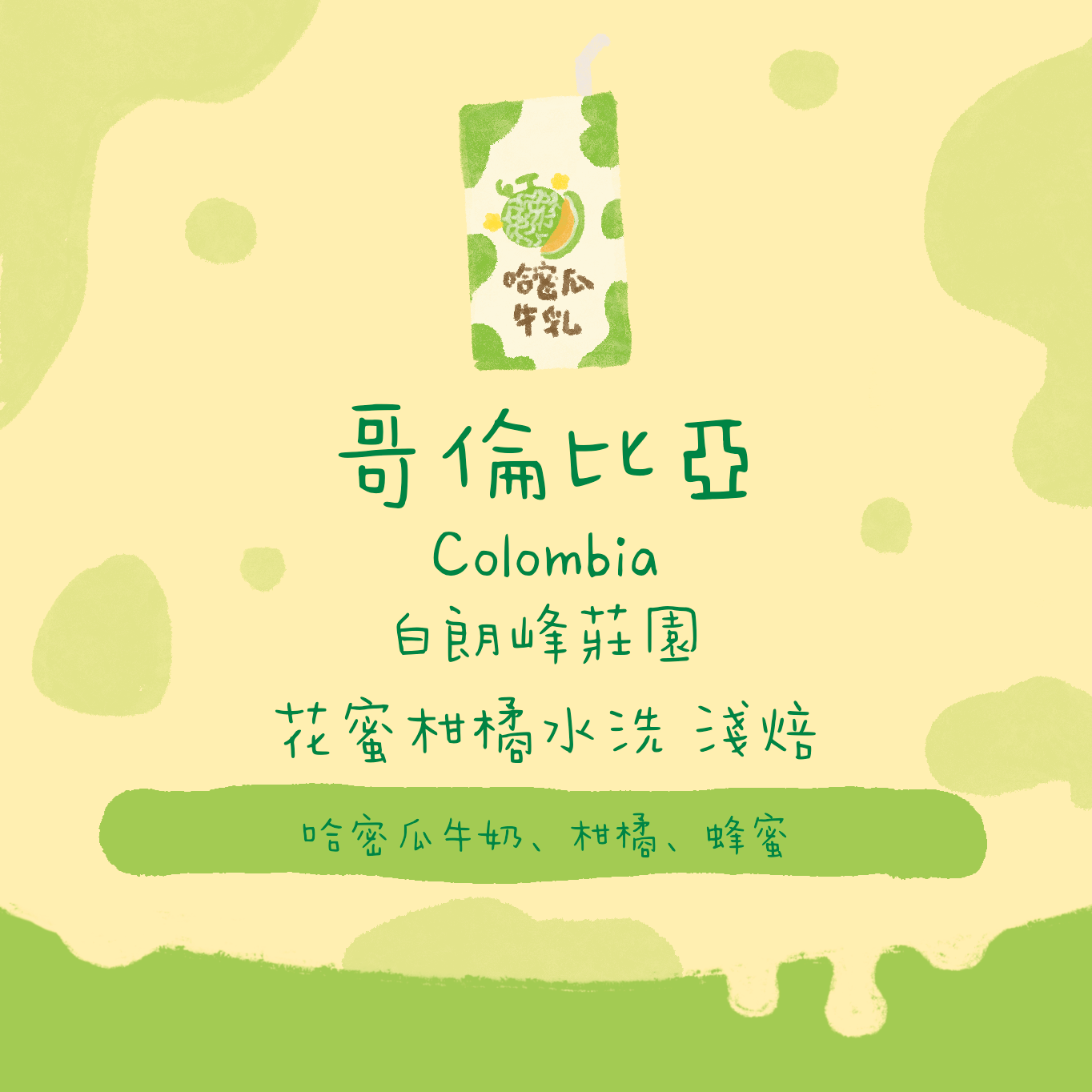 【哈密瓜之最】哥倫比亞｜白朗峰莊園 花蜜柑橘水洗 淺焙｜咖啡豆 掛耳包