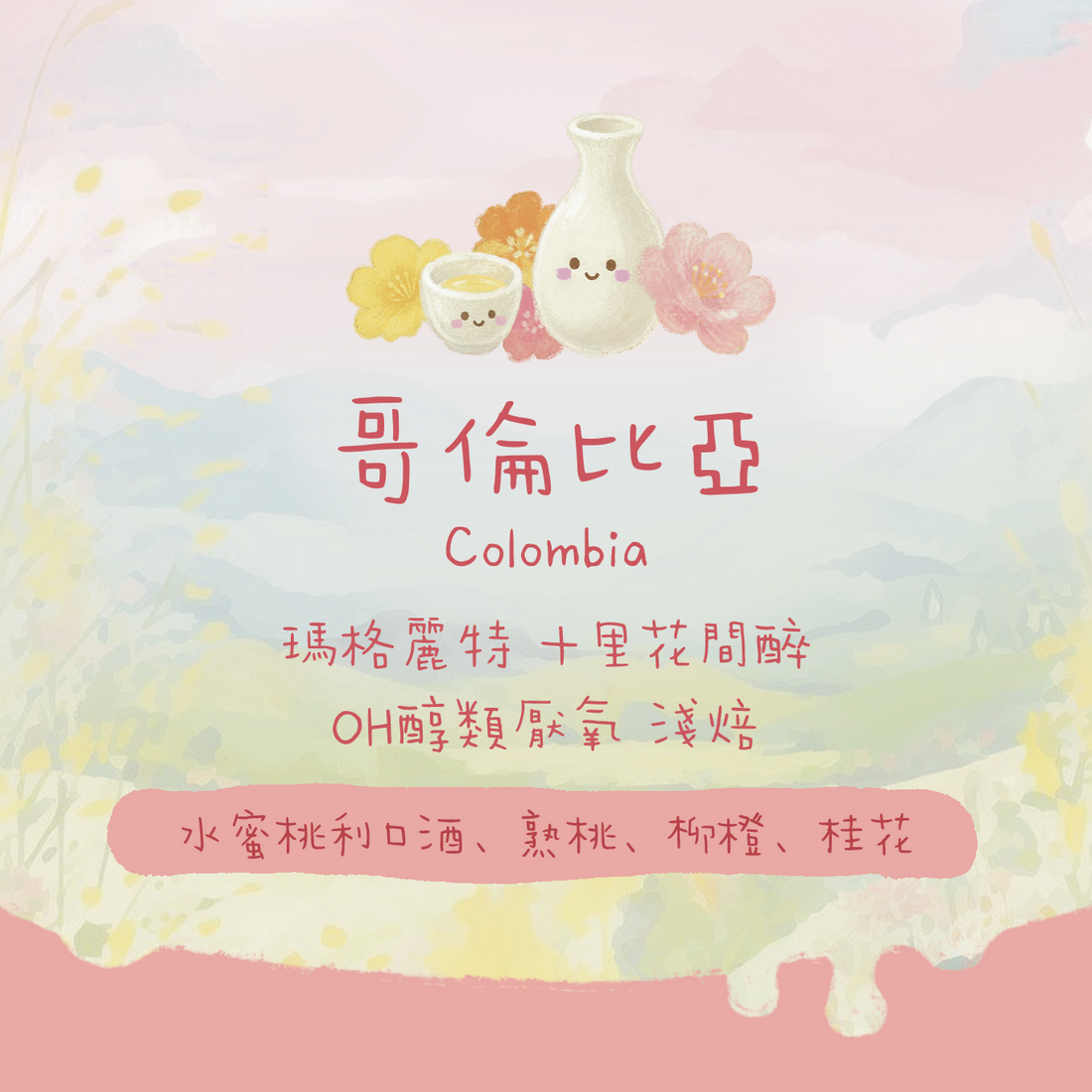 【最新酒桶豆🍹】哥倫比亞｜瑪格麗特 十里花間醉 OH醇類厭氧 淺焙｜咖啡豆 掛耳包