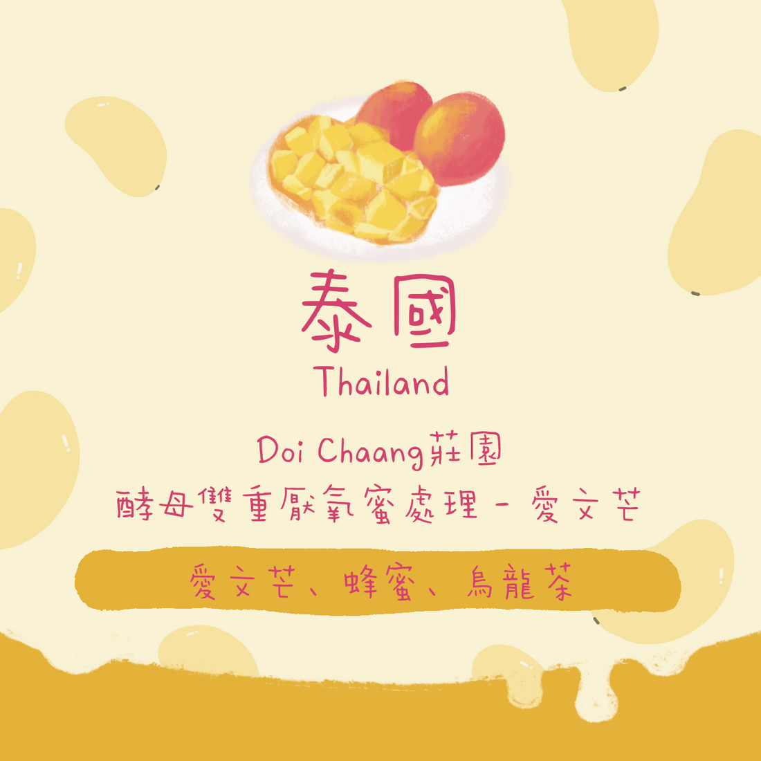 【愛文芒】泰國｜Doi Chaang莊園 酵母雙重厭氧蜜處理 淺焙｜咖啡豆 掛耳包