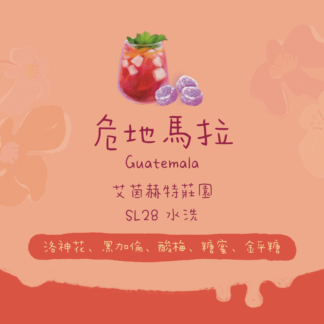 【COE獲獎莊園莊園】危地馬拉|艾茵赫特莊園 SL28 水洗 淺焙|咖啡豆 掛耳包