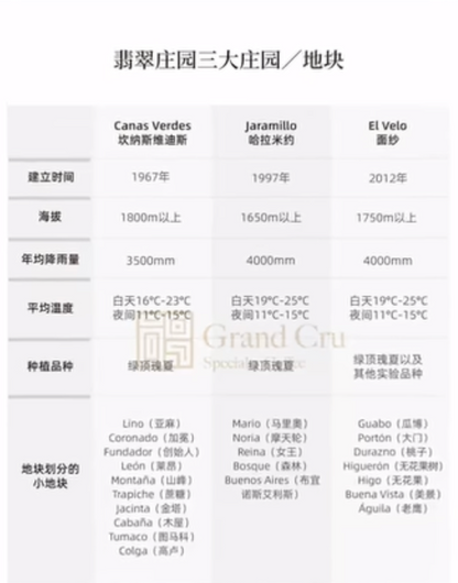 【超少量 - 紅標】巴拿馬｜翡翠莊園 Hacienda La Esmeralda 紅標藝伎 淺焙｜咖啡豆