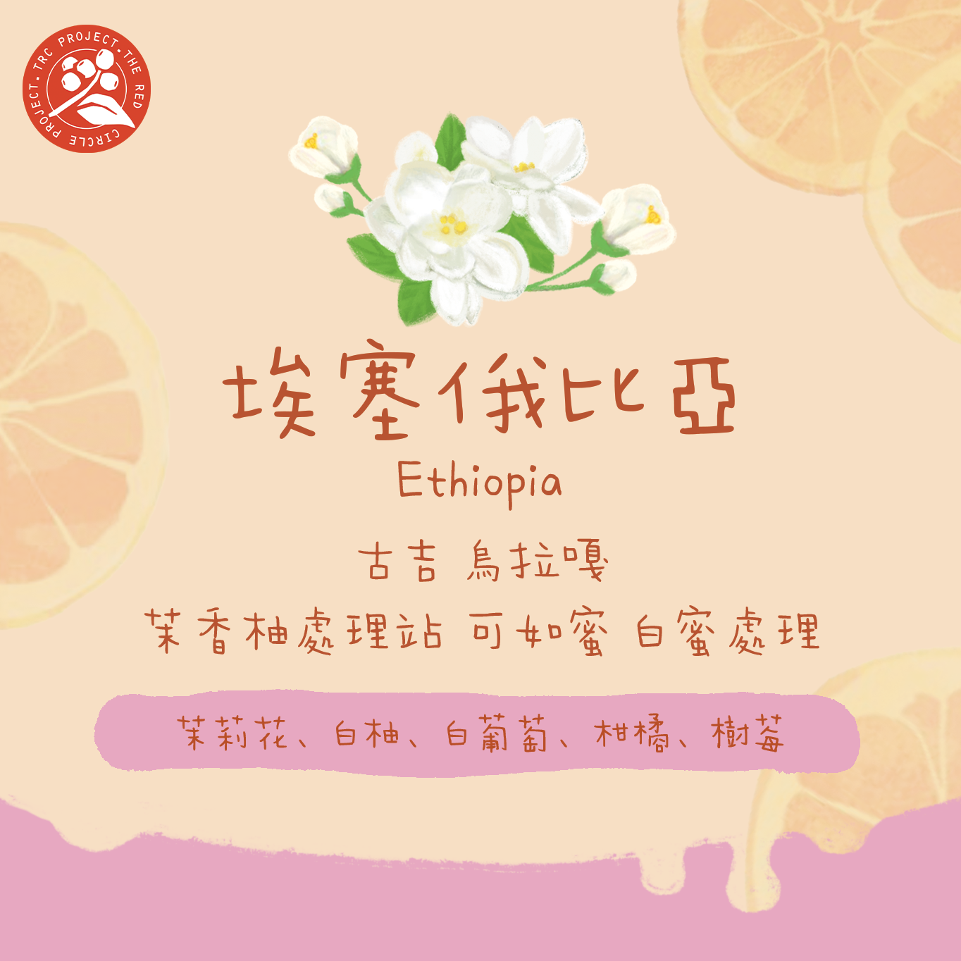 【最新白蜜批次✨】埃塞俄比亞｜古吉 烏拉嘎 茉香柚 Kurume 白蜜處理 淺焙｜咖啡豆 掛耳包