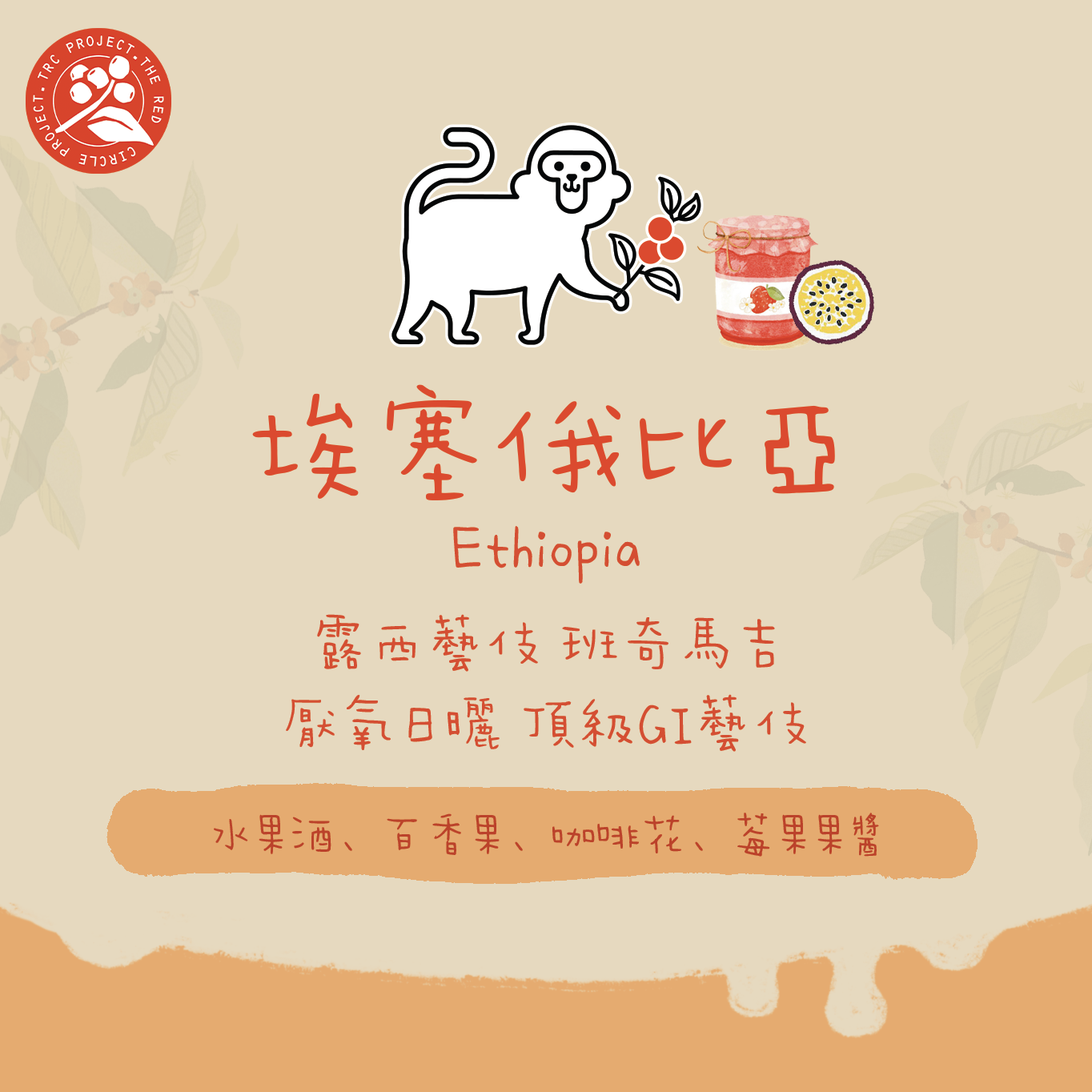 【最新厭氧LUCY】埃塞俄比亞｜班奇馬吉 露西藝伎 厭氧日曬 頂級G1 淺焙｜咖啡豆 掛耳包