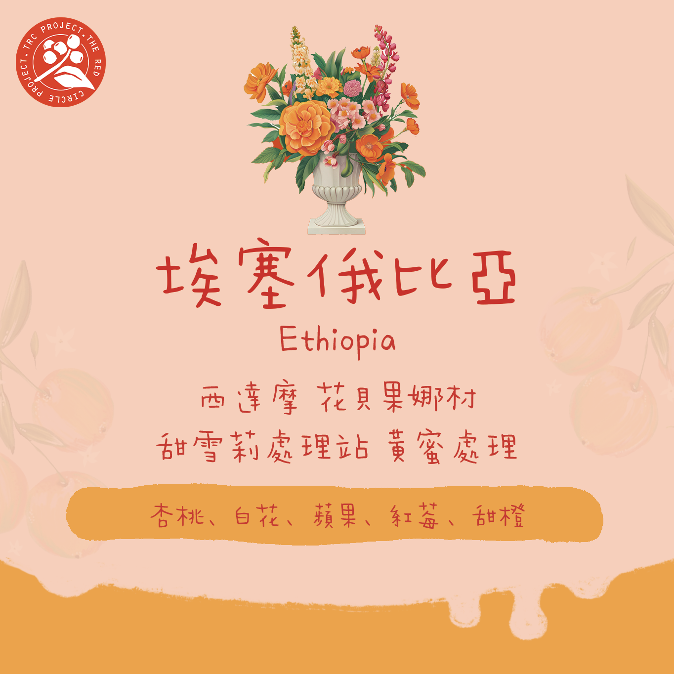 【最新黃蜜花貝】埃塞俄比亞｜花貝果娜 紅圈計畫 西達摩 74158 TOP G1 黃蜜處理 淺焙｜咖啡豆 掛耳包