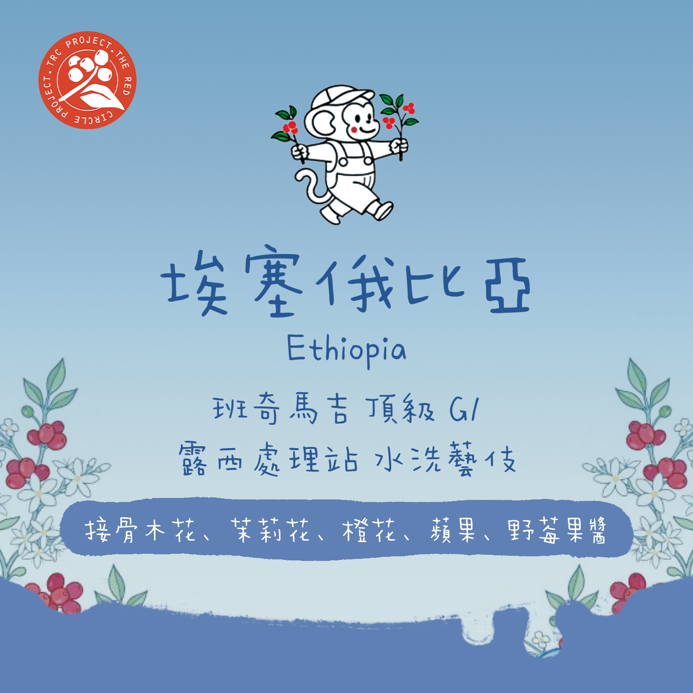 【最新批次✨】埃塞俄比亞｜班奇馬吉 露西藝伎 水洗 頂級G1 淺焙｜咖啡豆 掛耳包