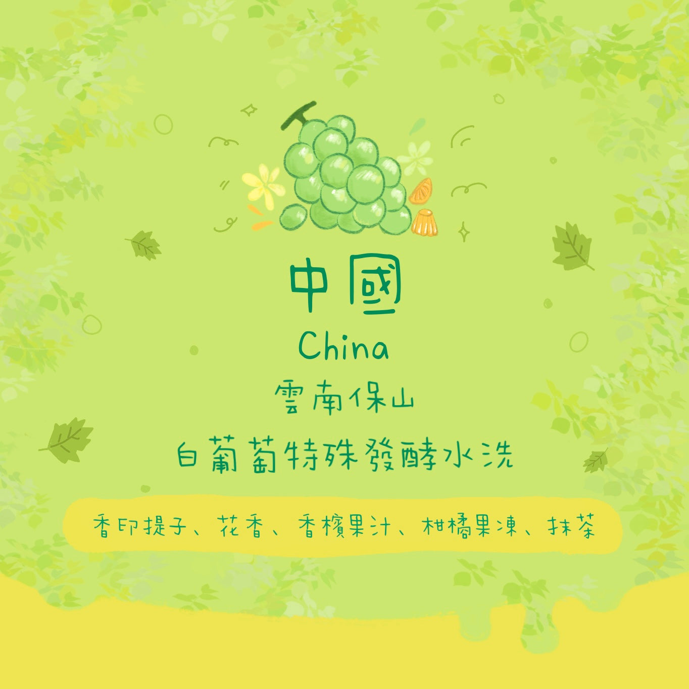 【香印提子🍇】中國｜雲南保山 白葡萄特殊發酵水洗淺焙｜咖啡豆 掛耳包