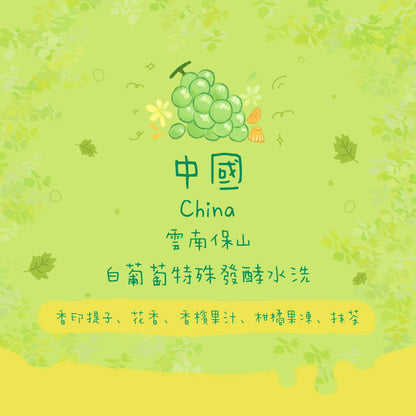 【香印提子🍇】中國｜雲南保山 白葡萄特殊發酵水洗淺焙｜咖啡豆 掛耳包