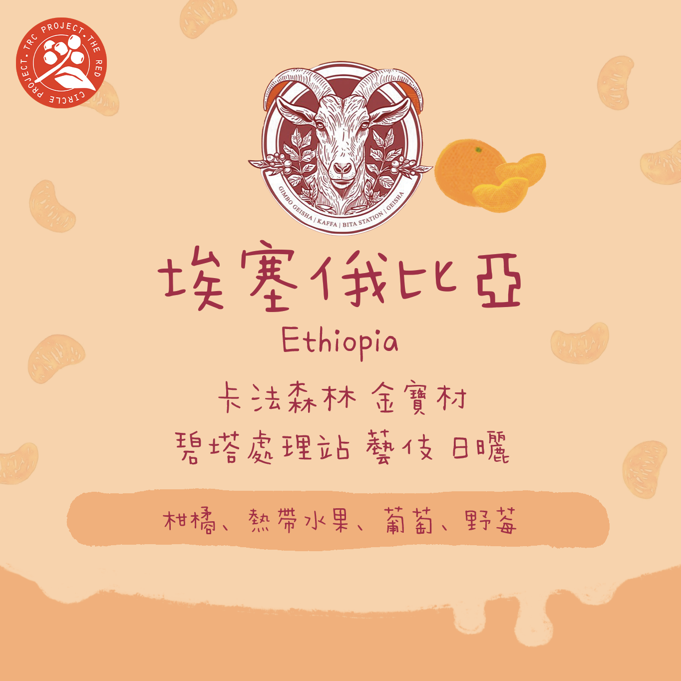 【2025新批次】埃塞俄比亞｜卡法森林 金寶村 金寶藝伎 日曬 淺焙｜咖啡豆 掛耳包