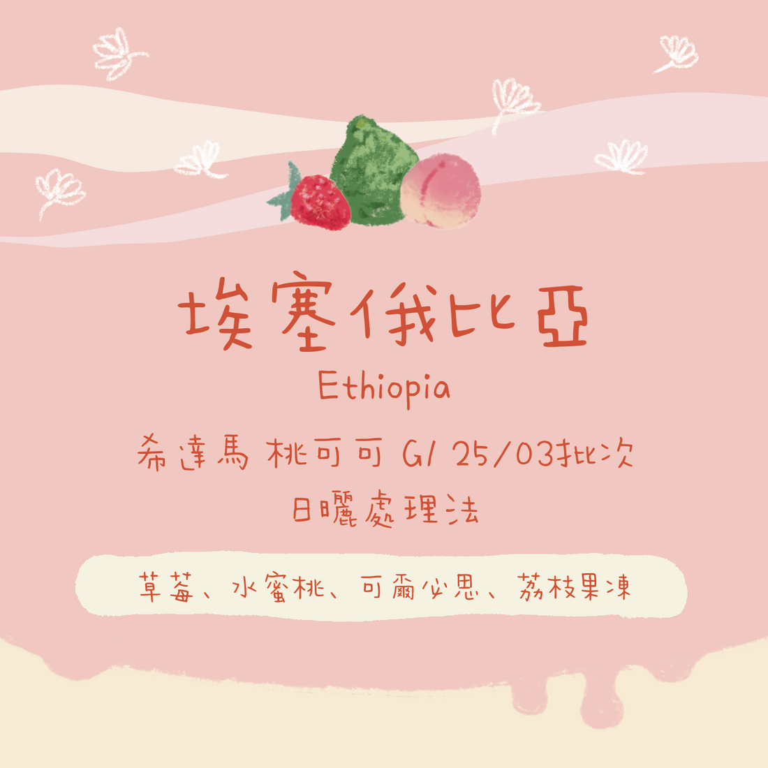 【必買の桃可可】埃塞俄比亞｜希達馬 桃子甜心/桃可可 G1 25/03批次 日曬 淺焙｜咖啡豆 掛耳包