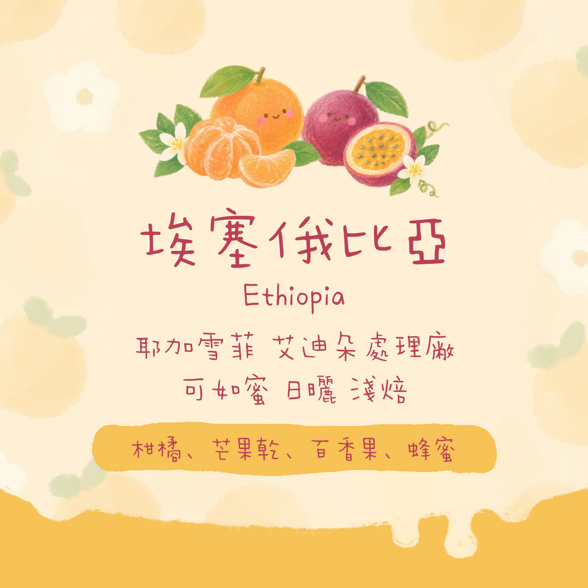 【新豆✨】埃塞俄比亞｜耶加雪菲 艾迪朵處理廠 可如蜜 日曬 淺焙｜咖啡豆 掛耳包