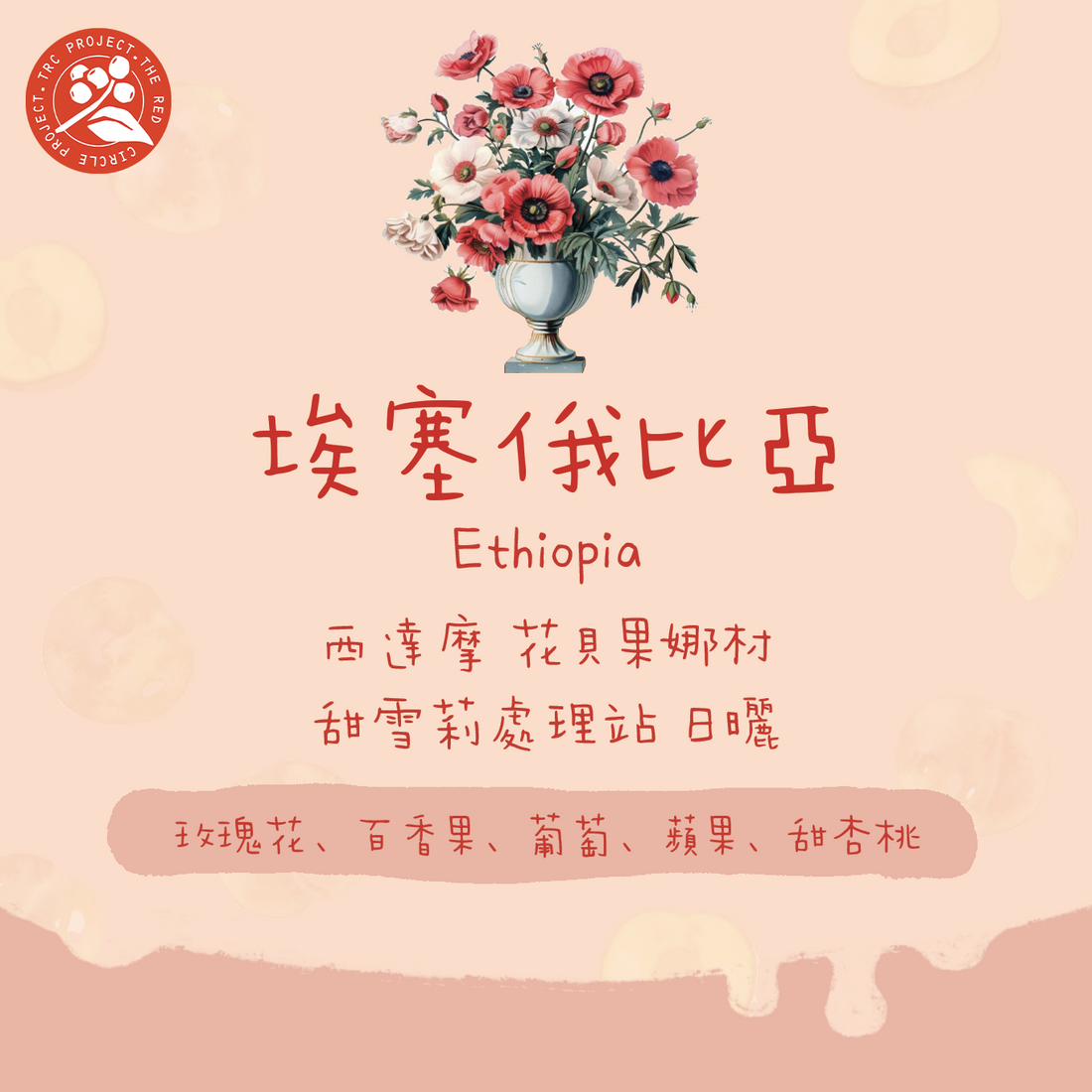 【2025新批次】埃塞俄比亞｜花貝果娜 紅圈計畫 西達摩 74158 TOP G1 日曬 淺焙｜咖啡豆 掛耳包