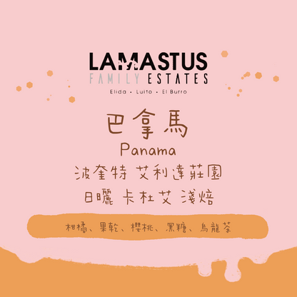 巴拿馬｜波奎特 艾利達莊園 日曬 卡杜艾 淺焙｜咖啡豆 掛耳包