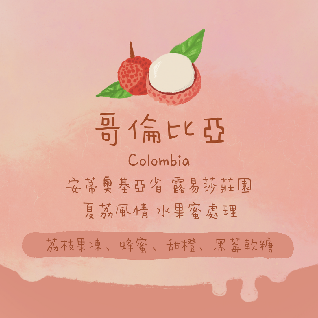 【真。荔枝果凍】哥倫比亞｜安蒂奧基亞省 露易莎莊園 夏荔風情 水果蜜處理 淺焙｜咖啡豆 掛耳包
