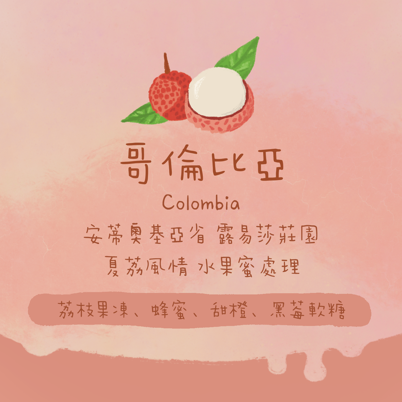【真。荔枝果凍】哥倫比亞｜安蒂奧基亞省 露易莎莊園 夏荔風情 水果蜜處理 淺焙｜咖啡豆 掛耳包