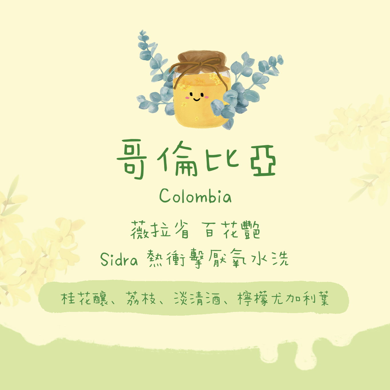 【百花盛放💐】哥倫比亞｜薇拉 百花艷 希爪 熱衝擊酵母厭氧水洗 淺焙｜咖啡豆 掛耳包