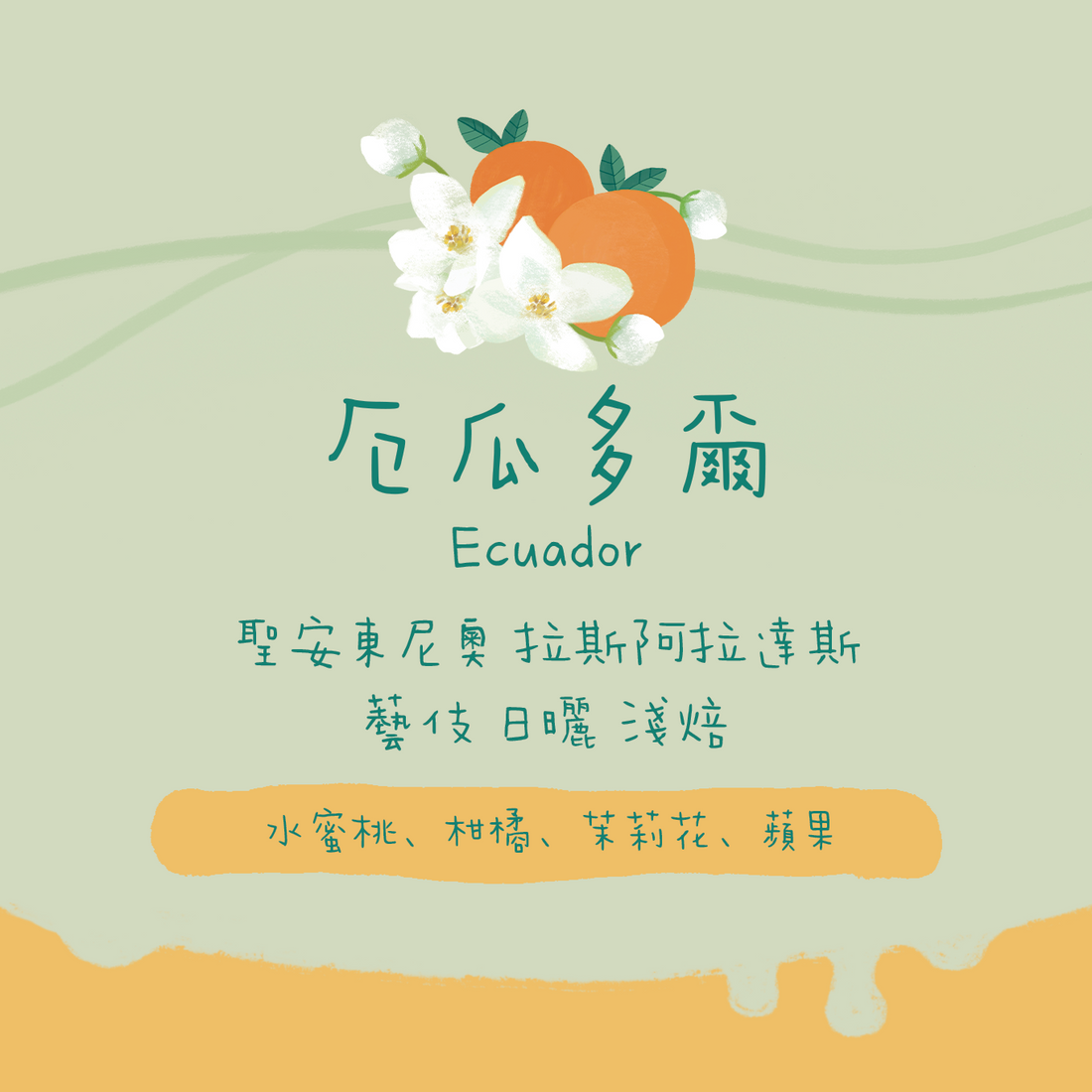 厄瓜多爾｜聖安東尼奧 拉斯阿拉達斯 藝伎 日曬｜咖啡豆 掛耳包