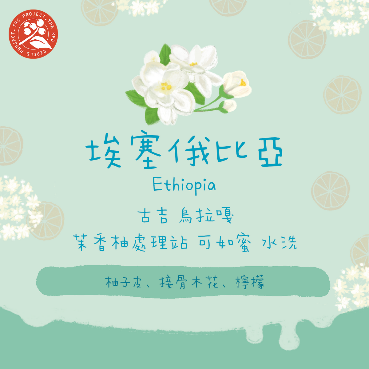 【茉香柚水洗✨】埃塞俄比亞｜古吉 烏拉嘎 茉香柚 Kurume水洗 淺焙｜咖啡豆 掛耳包