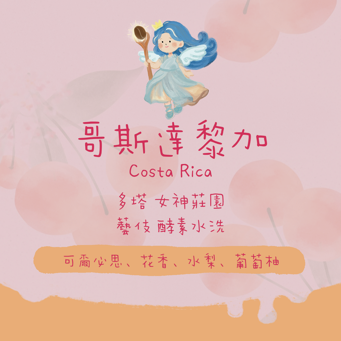 【✨女神藝伎】哥斯達黎加｜女神莊園 藝伎 酵素水洗 淺焙｜咖啡豆 掛耳包