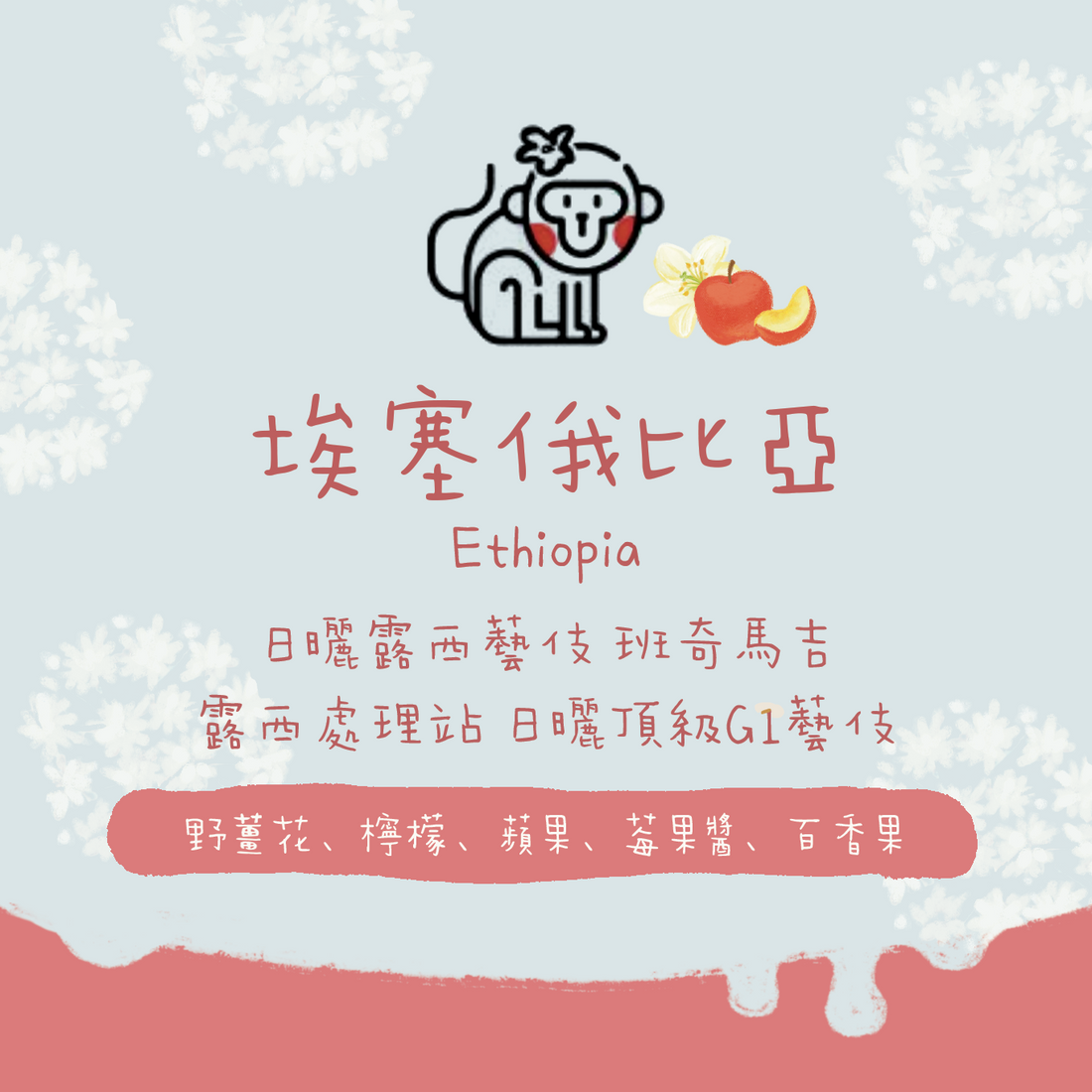 【最新批次】埃塞俄比亞|班奇馬吉 露西藝伎 日曬 頂級G1 淺焙|咖啡豆 掛耳包