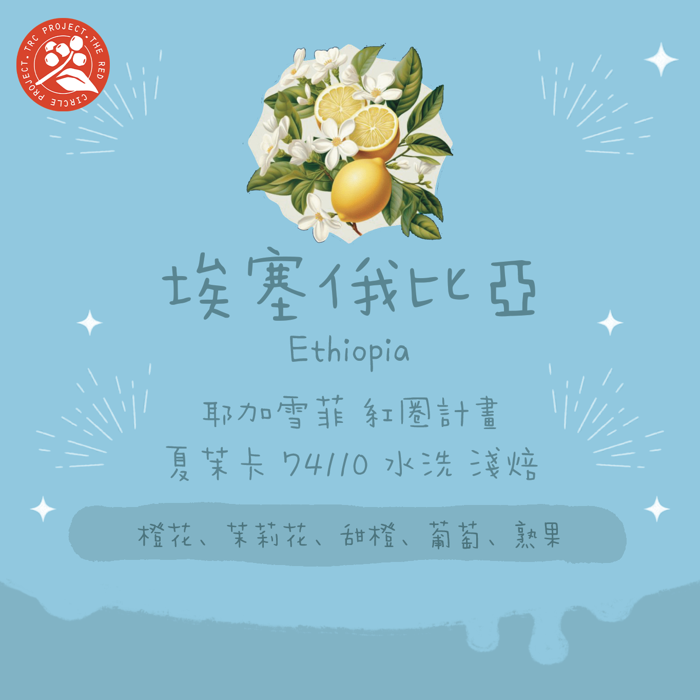 【紅圈計畫】埃塞俄比亞｜耶加雪菲 夏茉卡 74110 TOP G1 水洗淺焙｜咖啡豆 掛耳包