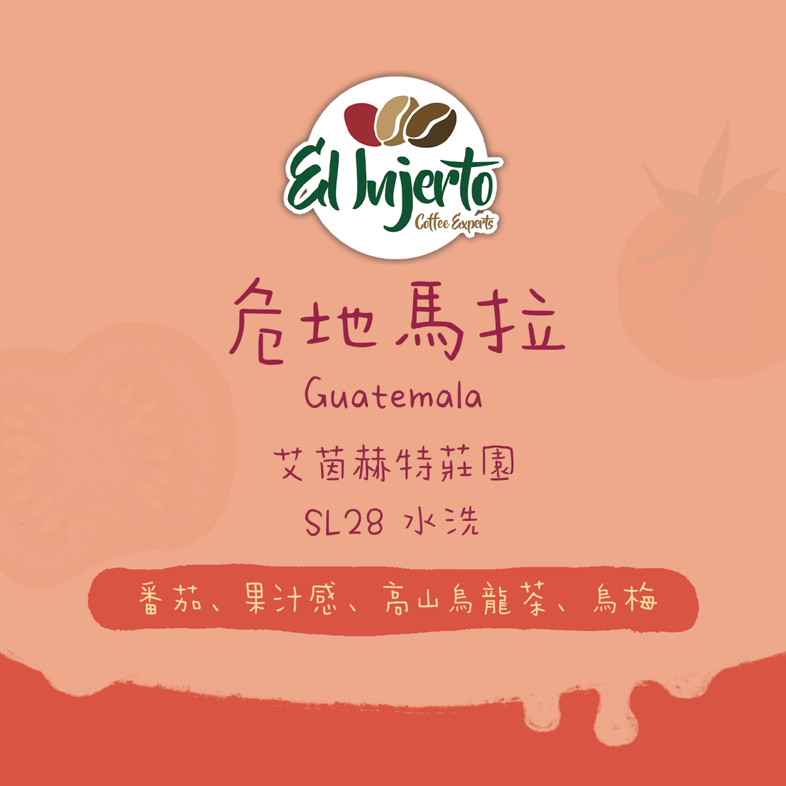 【限量品】危地馬拉｜艾茵赫特莊園 SL28 水洗 淺焙｜咖啡豆 掛耳包