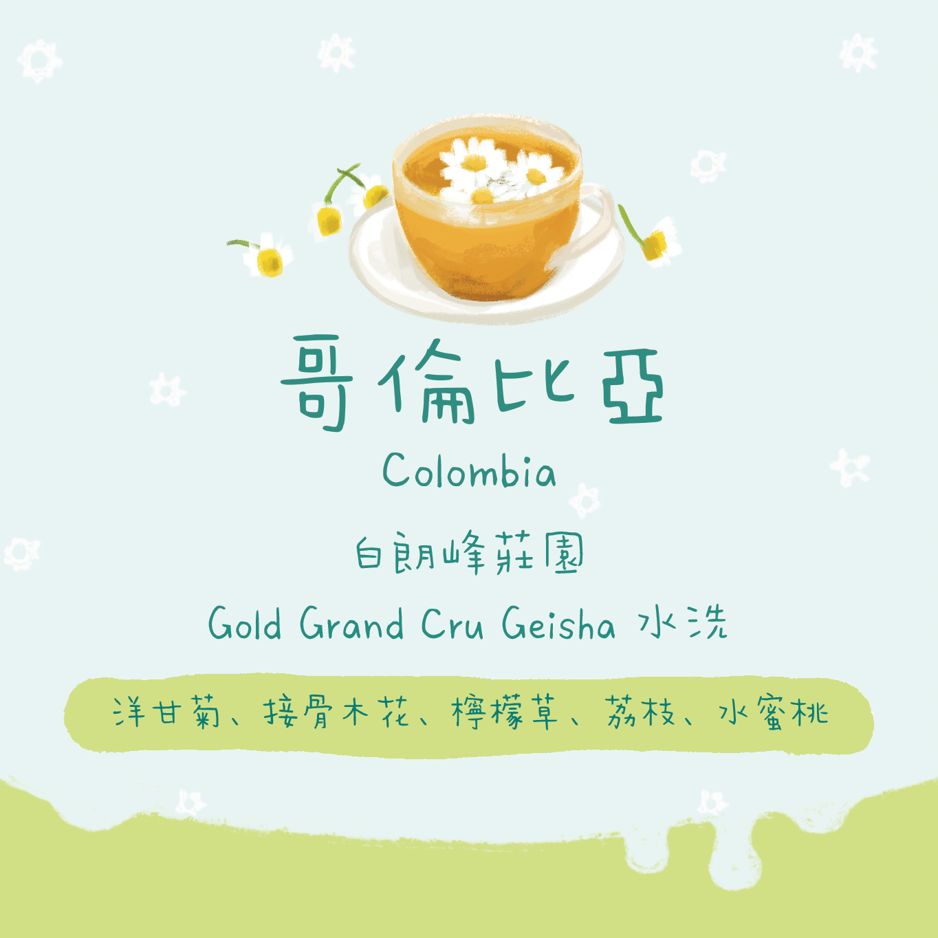 【Gold Grand Cru】哥倫比亞｜白朗峰莊園 Gold Grand Cru 藝伎 厭氧水洗 淺焙｜咖啡豆 掛耳包