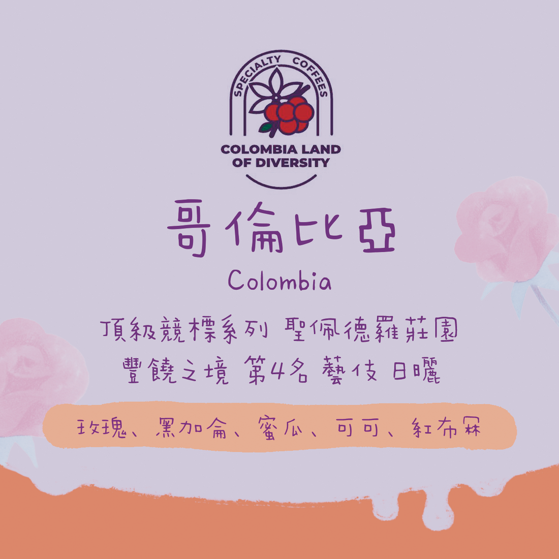 【頂級競標系列】哥倫比亞｜聖佩德羅莊園 競標批次 藝伎 日曬 淺焙｜咖啡豆 掛耳包