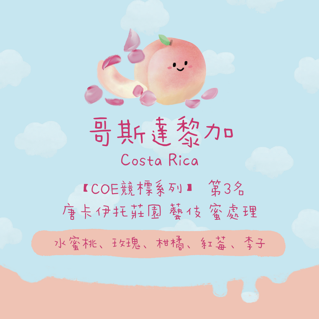 【🏆25年COE第三名】哥斯大黎加｜塔拉珠 唐卡伊托莊園 藝妓 蜜處理 淺焙｜咖啡豆 掛耳包