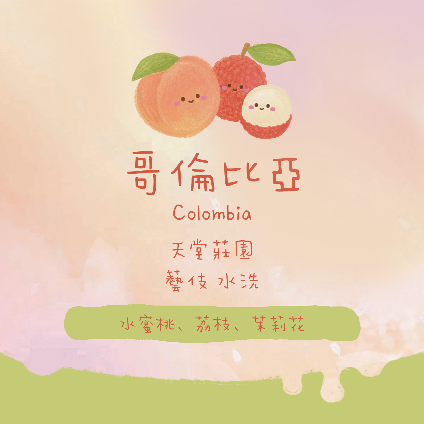 【必買✨天堂藝伎】哥倫比亞｜天堂莊園 藝伎 水洗 淺焙｜咖啡豆 掛耳包