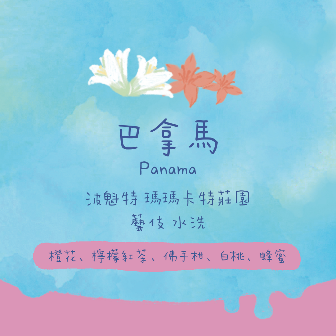 【超正必買🎊】巴拿馬｜波魁特 瑪瑪卡特莊園 藝伎 水洗 淺焙｜咖啡豆 掛耳包