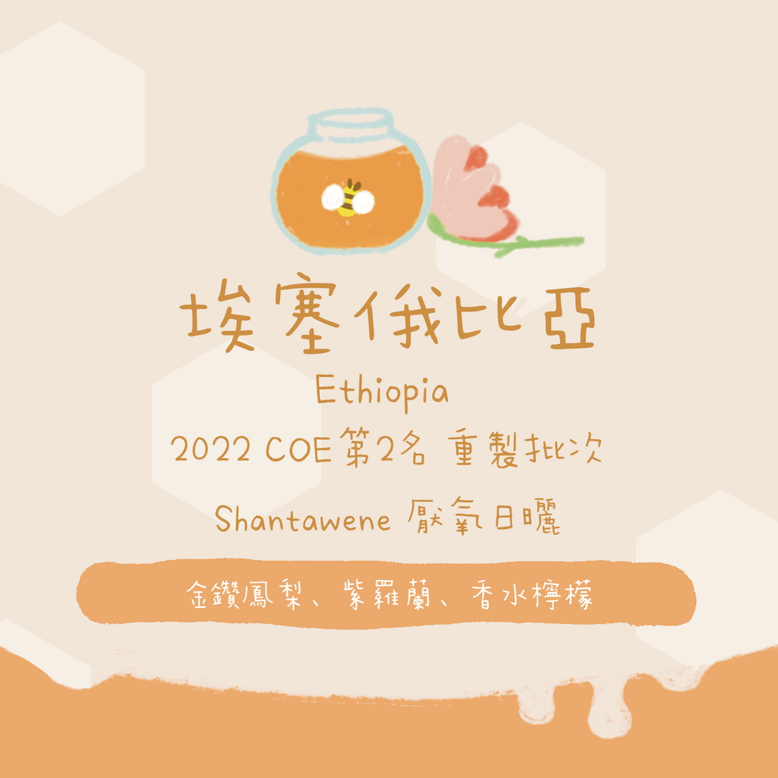【必試 - 2022 COE第2名重製批次】埃塞俄比亞｜西達摩 班莎 聖塔維尼村 蓋迦莊園 74158 厭氧日曬 淺焙｜咖啡豆 掛耳包