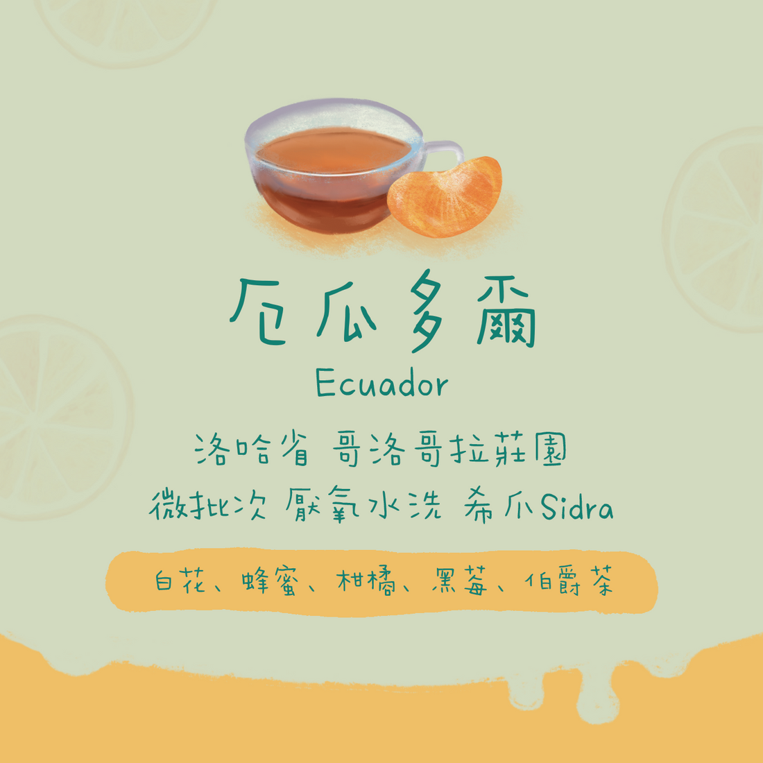 【最後幾包】厄瓜多爾|洛哈省 阿哥洛哥拉莊園 微批次 厭氧水洗 日曬|咖啡豆 掛耳包
