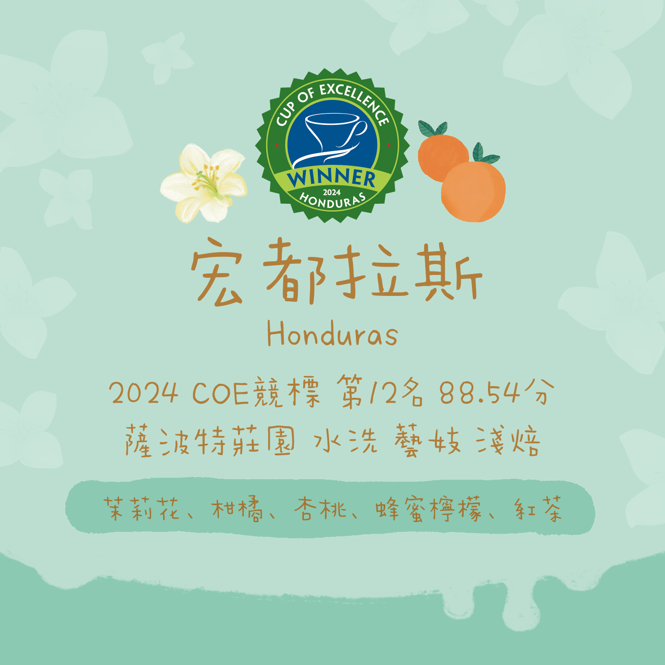 【洪都拉斯COE競標