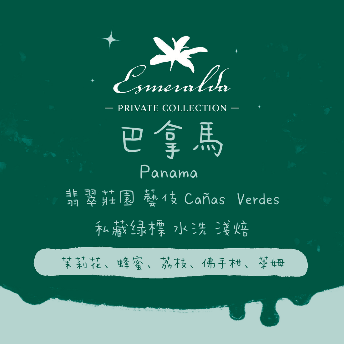 【勁爆🎊第二件半價！】巴拿馬｜翡翠莊園 瑰夏/藝伎 私藏綠標 淺焙｜咖啡豆 掛耳包