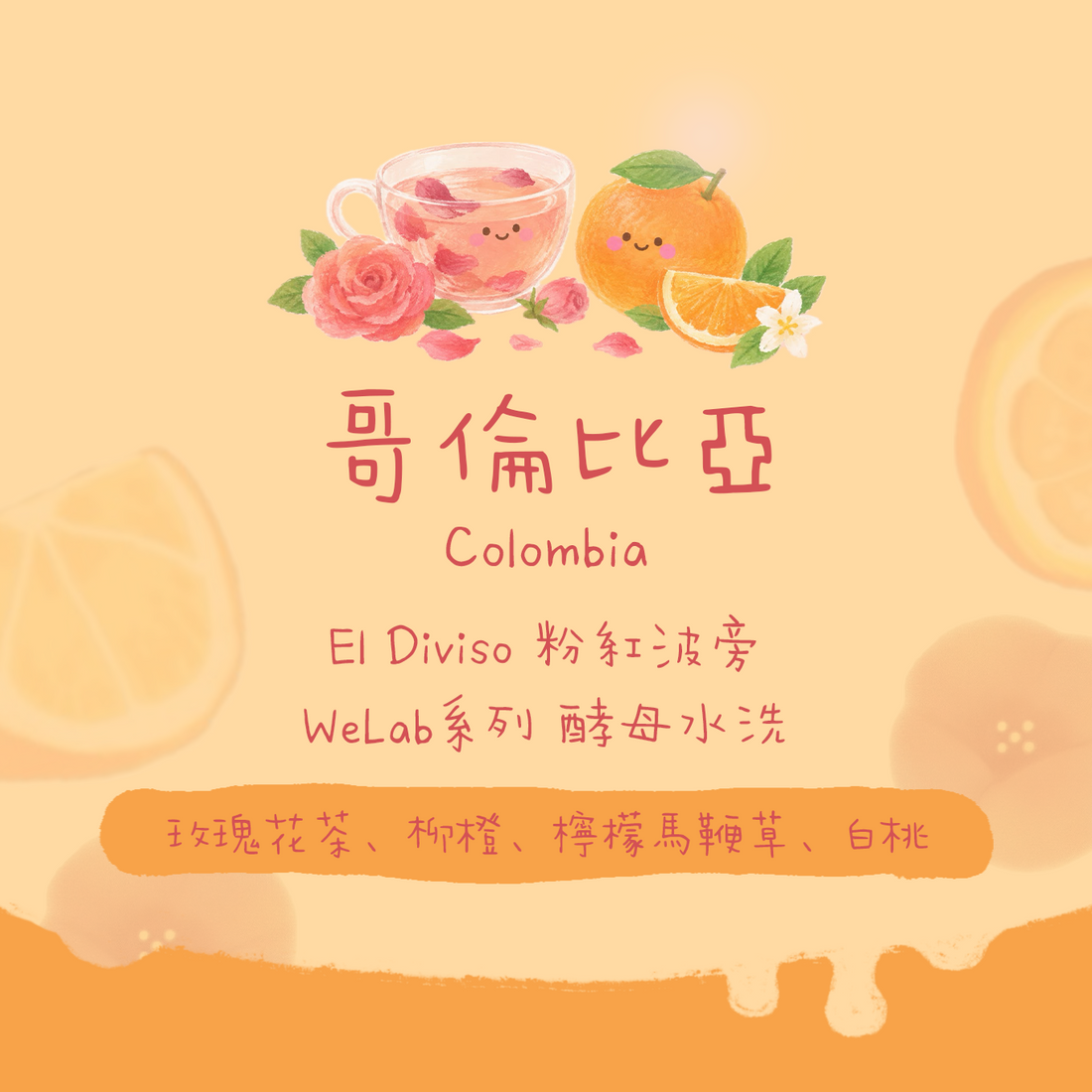 【El Diviso精選✨】哥倫比亞｜WeLab x El Diviso 粉紅波旁 低氧酵母水洗 淺焙｜咖啡豆 掛耳包