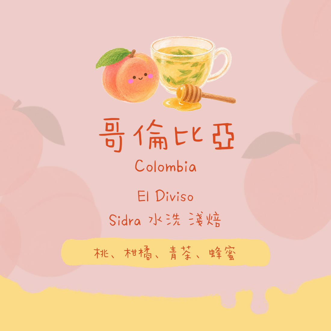 【El Diviso精選✨】哥倫比亞｜El Diviso 波旁錫爪 水洗 淺焙｜咖啡豆 掛耳包