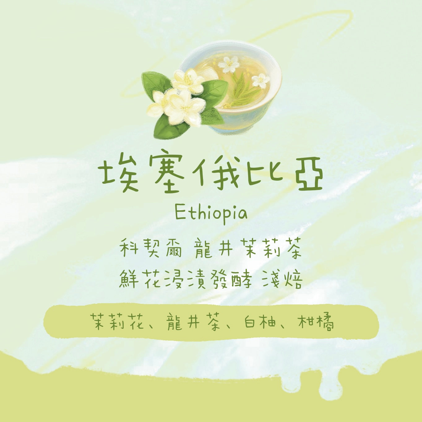 【真。龍井茉莉茶】埃塞俄比亞｜ 科契爾 鮮花浸漬發酵48小時 龍井茉莉茶 淺焙｜咖啡豆 掛耳包