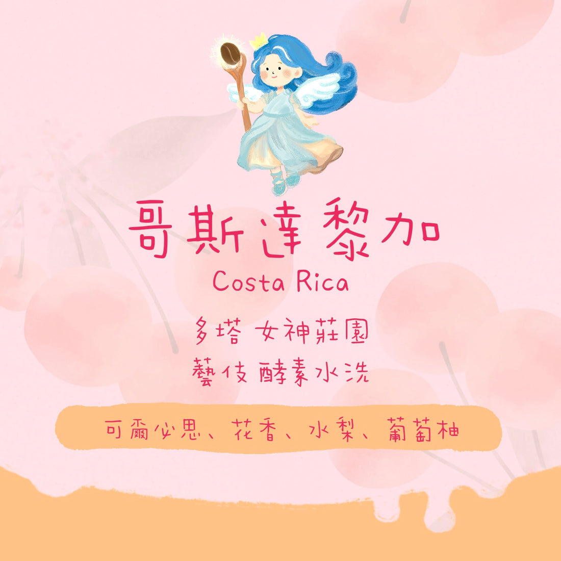 【✨女神藝伎】哥斯達黎加｜女神莊園 藝伎 酵素水洗 淺焙｜咖啡豆 掛耳包