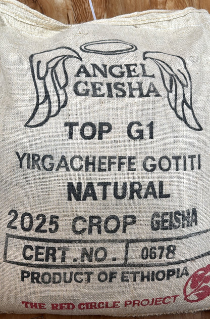 【天使藝伎】埃塞俄比亞｜耶加雪菲 果丁丁 天使 藝伎 TOP G1 日曬 淺焙｜咖啡豆 掛耳包