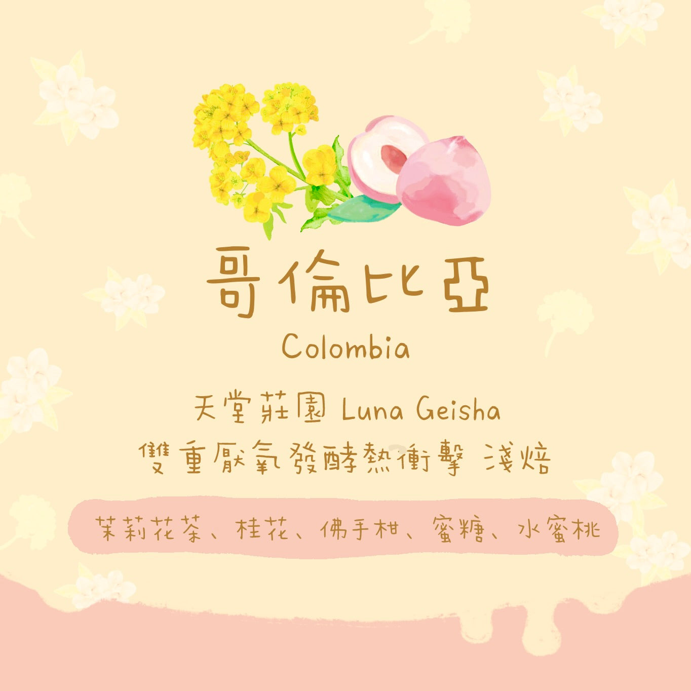 【必買 - 非常好喝！】哥倫比亞｜天堂莊園 雙重厭氧發酵熱衝擊 Luna Geisha 淺焙｜咖啡豆 掛耳包