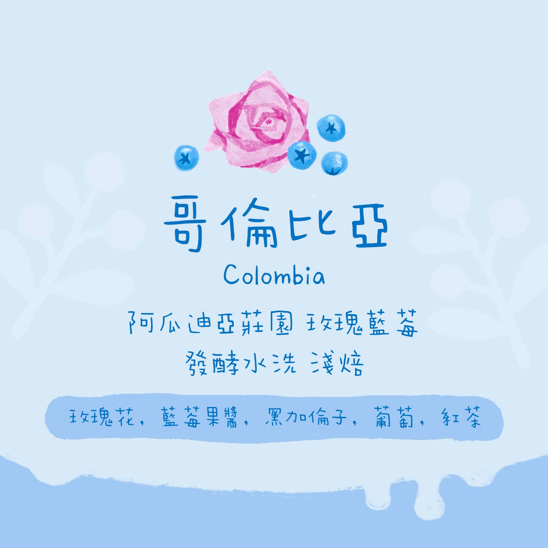 【超正必試！】哥倫比亞｜慧蘭 阿瓜迪亞莊園 玫瑰藍莓 淺焙｜咖啡豆 掛耳包