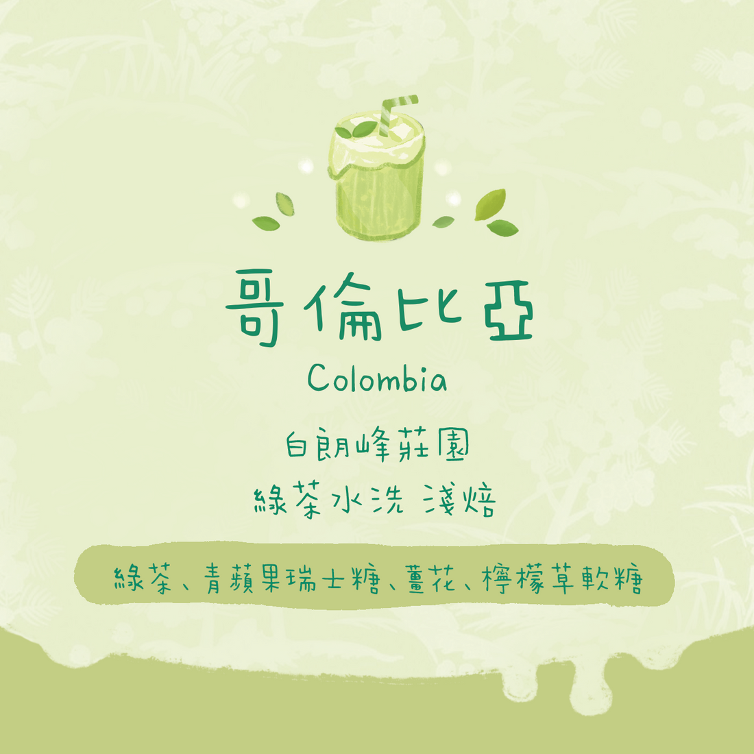 【🟡超甜必試！Green Tea】哥倫比亞｜伊甸園 綠茶水洗 淺焙｜咖啡豆 掛耳包