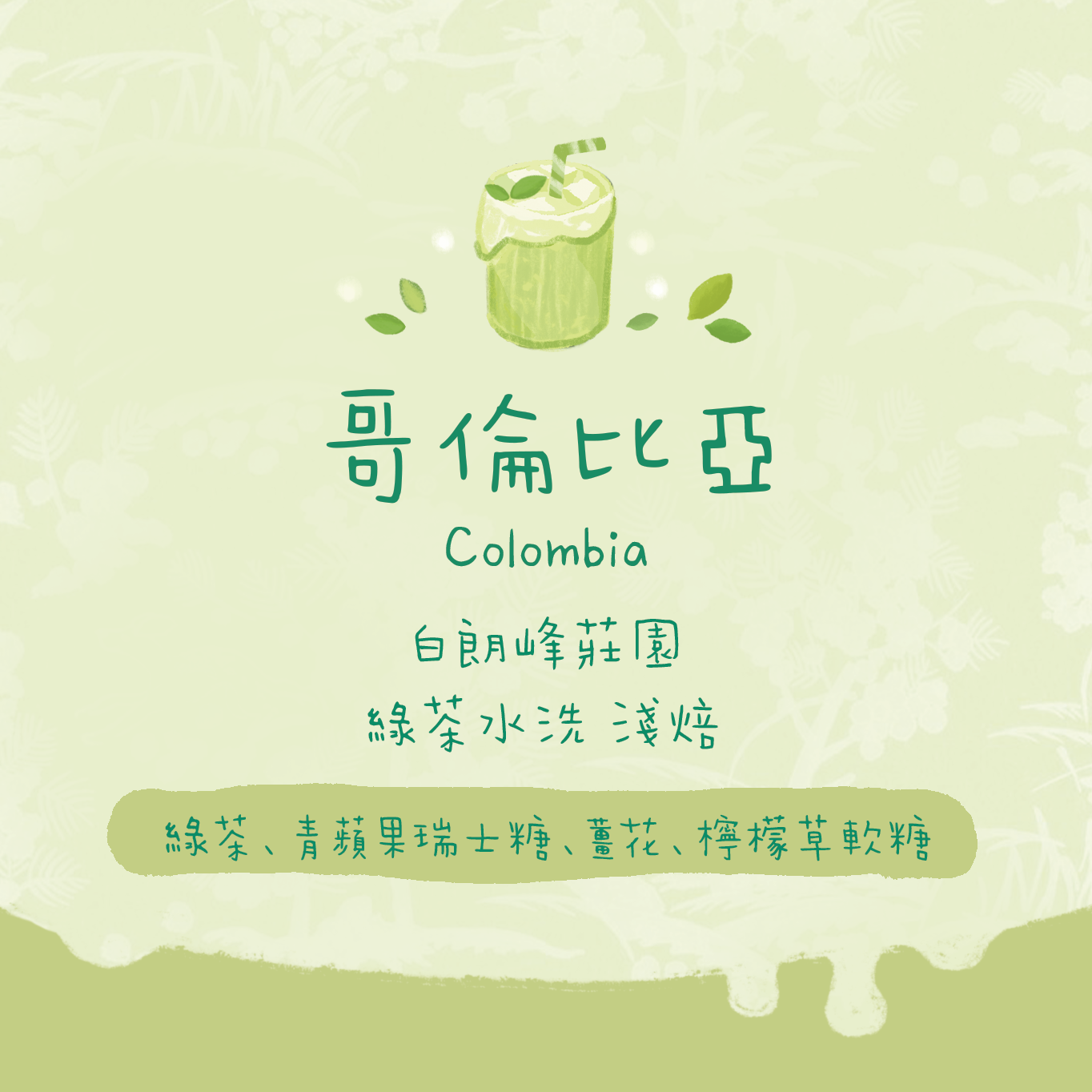【超甜必試！Green Tea】哥倫比亞｜伊甸園 綠茶水洗 淺焙｜咖啡豆 掛耳包
