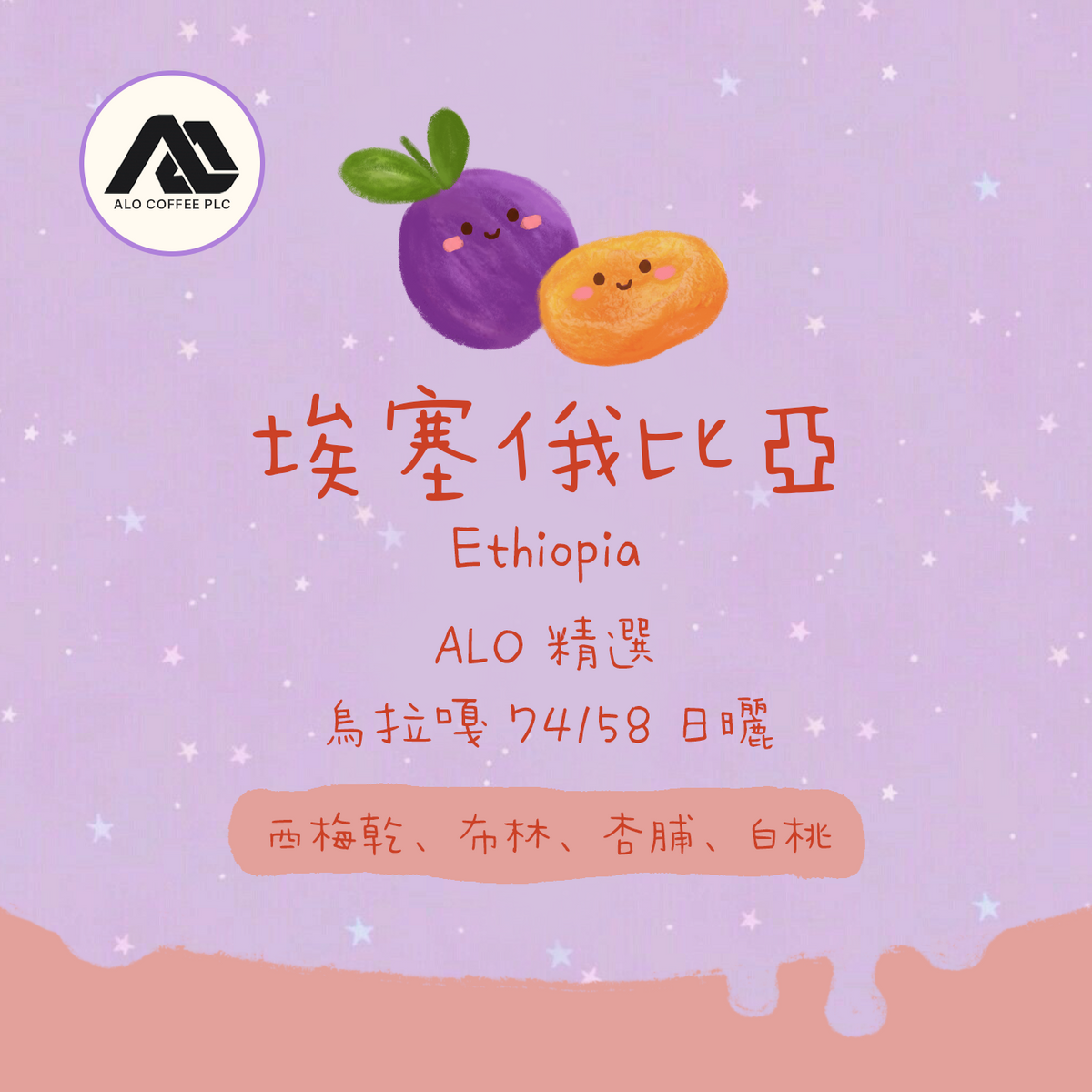 【✨2026 ALO精選】埃塞俄比亞｜古吉 ALO精選 烏拉嘎處理站 74158 G1 日曬 淺焙｜咖啡豆 掛耳包