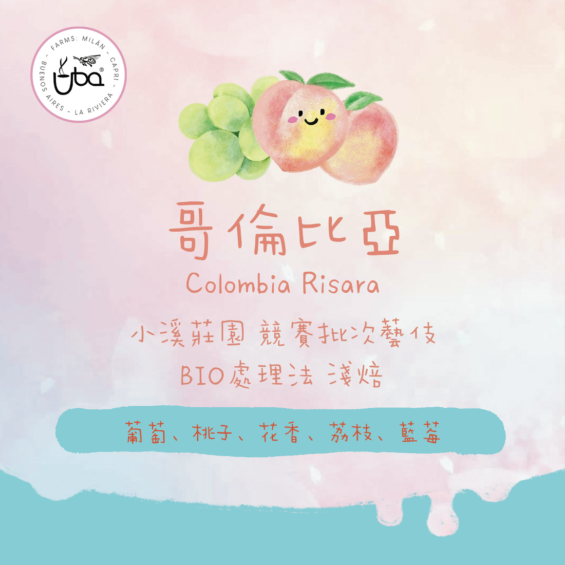 【比賽批次 - 果香盛宴】哥倫比亞｜小溪莊園 競賽批次藝伎 BIO處理法 淺焙｜咖啡豆 掛耳包