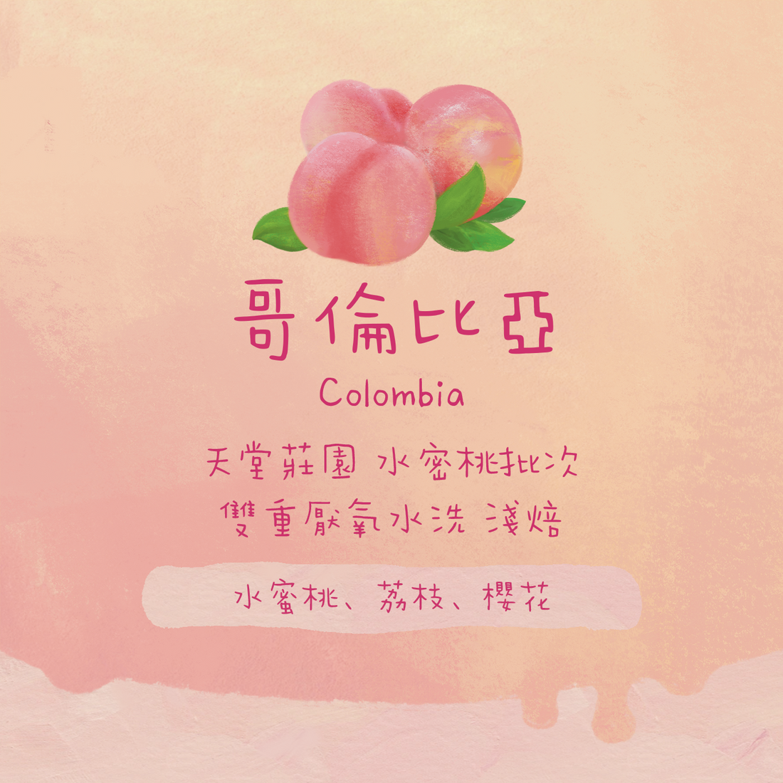 【天堂必試】哥倫比亞｜天堂莊園 雙重厭氧發酵 水蜜桃批次 淺焙｜咖啡豆 掛耳包