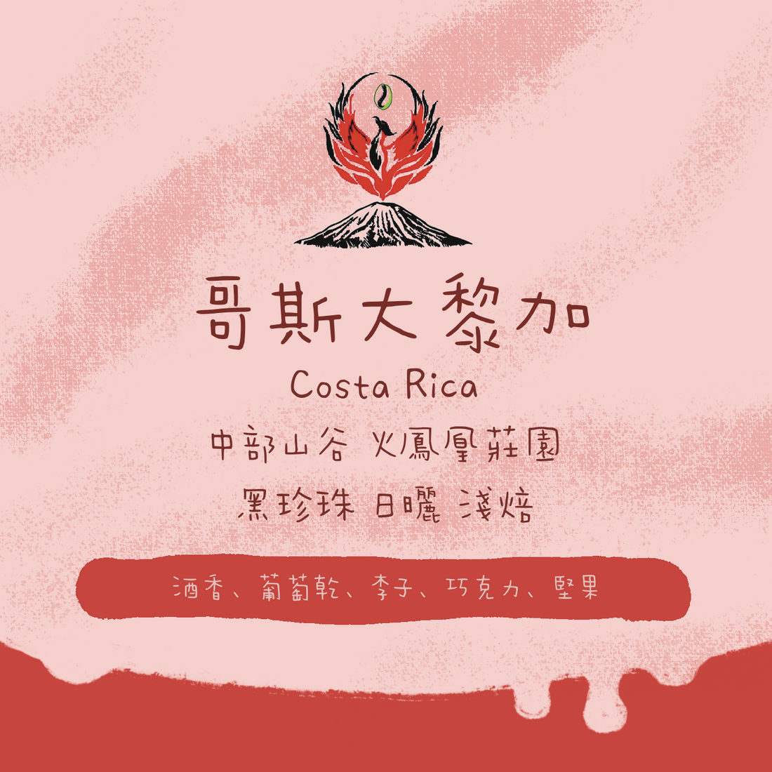 【最後一爐 - 少量】哥斯大黎加｜中部山谷 火鳳凰莊園 黑珍珠 日曬 淺焙｜咖啡豆 掛耳包