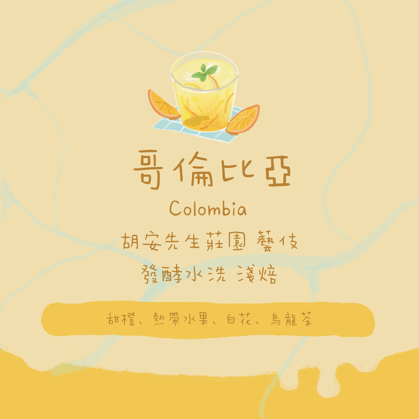 【僅少量】哥倫比亞｜薇拉 胡安先生莊園 藝伎 發酵水洗 淺焙｜咖啡豆 掛耳包